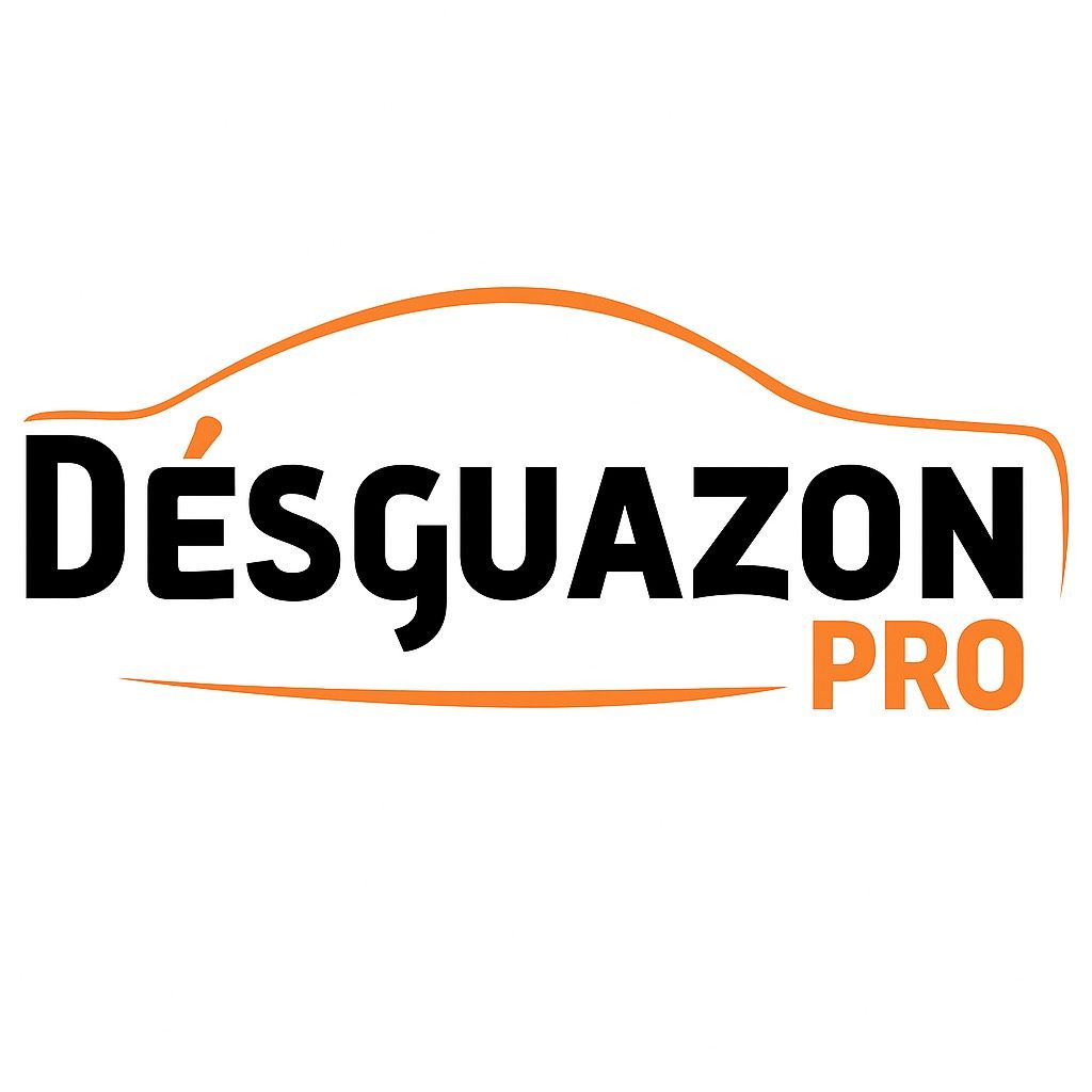 desguazon pro.png